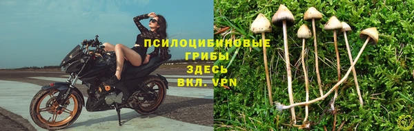 прущий лед Протвино