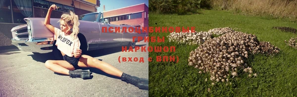 прущий лед Протвино