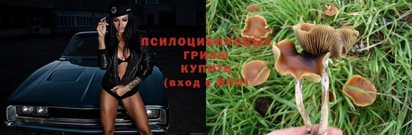дживик Приозерск