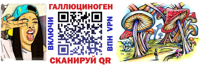 купить закладку  Судогда  Псилоцибиновые грибы мухоморы 